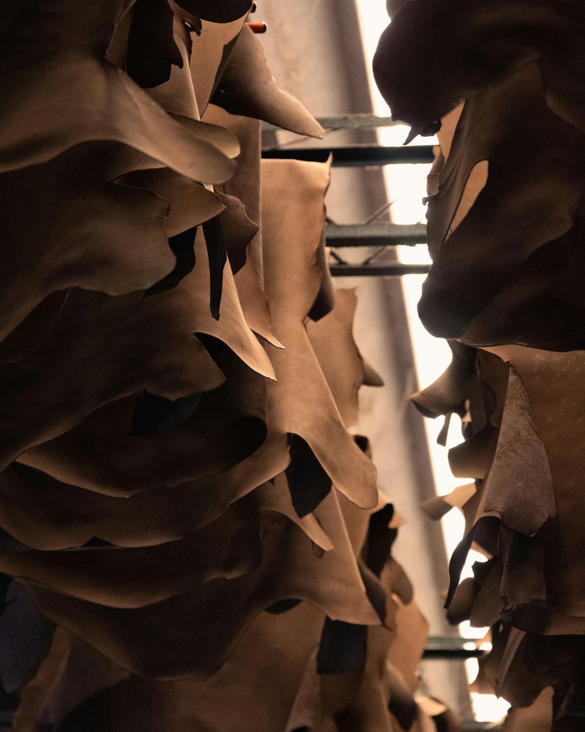 Leather hides stacked on industrial racks in a processing facility